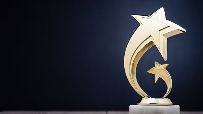Award-Winning Sesame Bankhall Group Scoops Diversity Award at MoneyAge Awards image